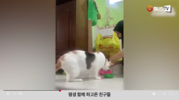 요즘이슈_01_동물_평생함께 하고픈 친구들